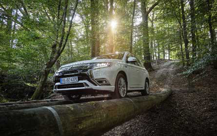 Zuwächse in allen Bereichen