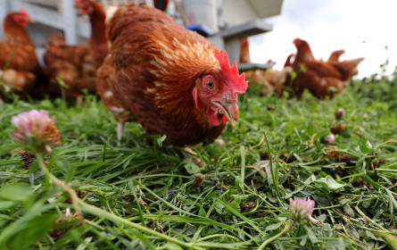 Supermarkt-Eigenmarken punkten beim Umweltschutz