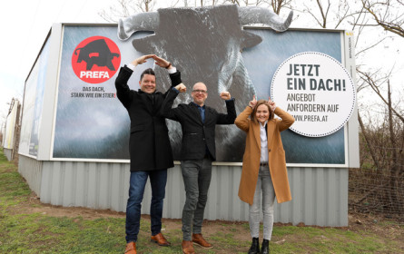 Dieser Stier sprengt jedes Format