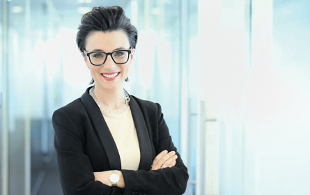 Bilanz des "Google DNI Fund"