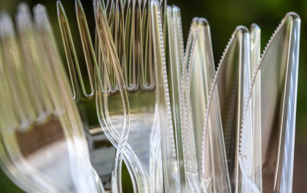 Viel zu viel Müll: Verbot von Einweg-Plastik