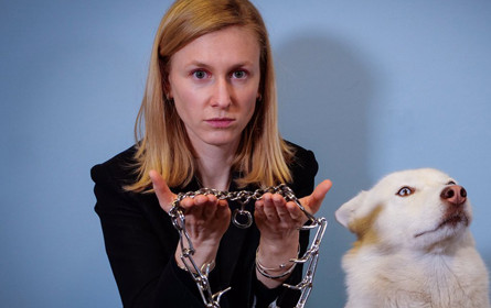 Verbotene Tierquäl-Halsbänder problemlos auf Amazon zu kaufen