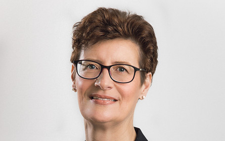 Regeln für den Geldregen