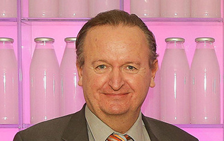 Die verständliche Seite der Komplexität