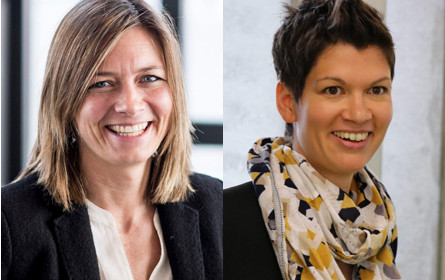 Streiten, bis die Fetzen fliegen