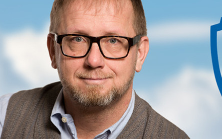 Kleine Form ganz groß: TV-Sender setzen auf kurze Videos