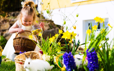 Wiener Osterhasen geben 77 Mio. Euro aus