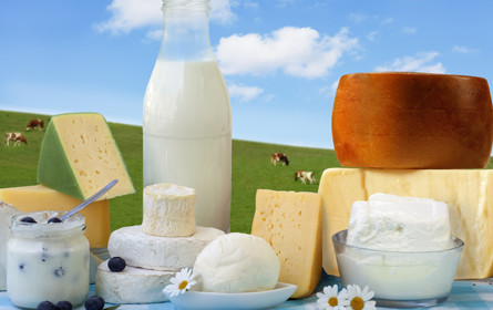 Auslandsnachfrage nach österreichischen Lebensmitteln stützt Branchenwachstum