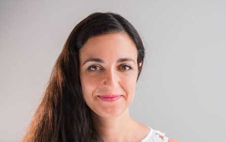 "Made in Surveys" und "Talk Online Panel" werden Partner