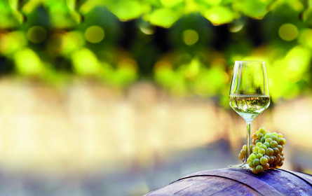 Sélection 2019: Heimische Weinvielfalt bei Lidl Österreich