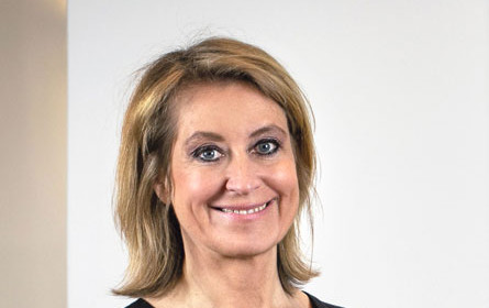 Das Storytelling-Tool