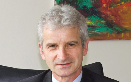 Was plant die Industrie für das Jahr 2019?