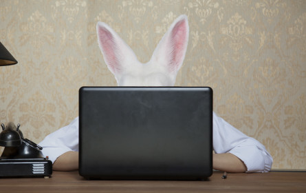 Der Osterhase ist der zweitbeste Kunde des Einzelhandels