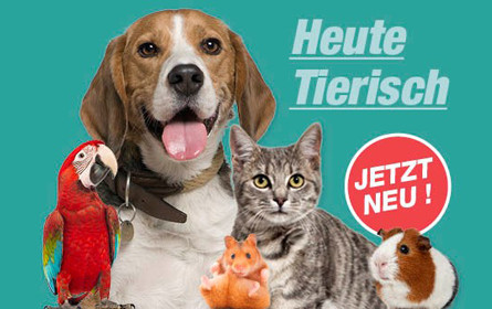 „Heute.at“ startet großen Tierchannel „HeuteTierisch“