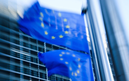 EU-Wahl: Google und Facebook veröffentlichen politische Werbeausgaben