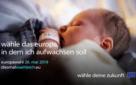 Havas Media Austria macht Stimmung für die Teilnahme an der EU-Wahl