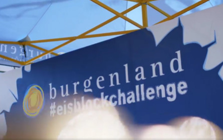 "Eisblock hackeln" als Erfolg