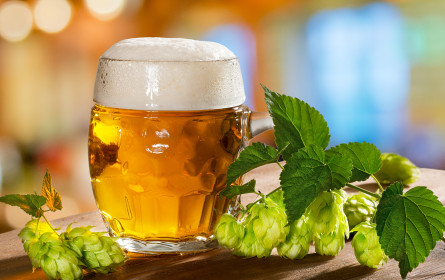 Brauer AB InBev soll 200 Millionen Euro Strafe zahlen