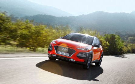 E-Autos mieten statt kaufen