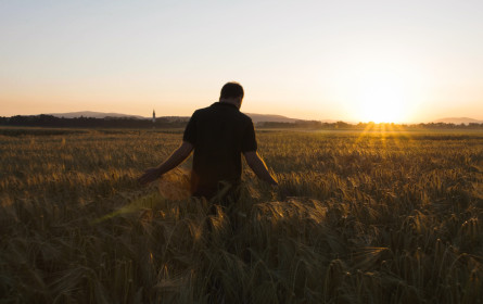 Rohstoffe aus Österreich, um Bier eine Heimat zu geben