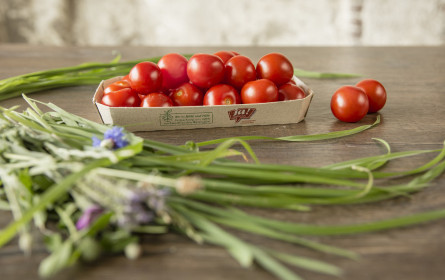 Ja! Natürlich Green Packaging-Countdown