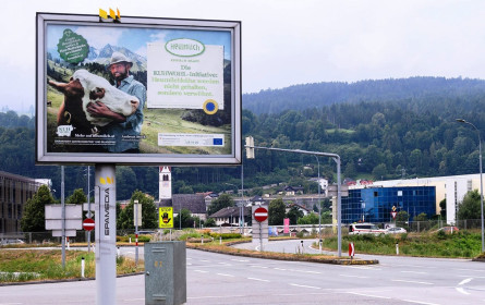 Epamedia liegt Kuhwohl am Herzen