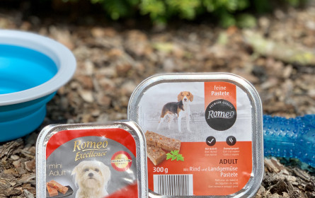 Hofer-Hundefutter glänzt als überlegener Testsieger 