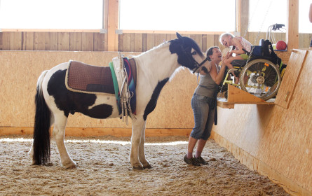 "Kräuter Sternderl"-Drink unterstützt Sterntalerhof
