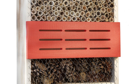 bellaflora fördert Nützlinge und schützt Pflanzen