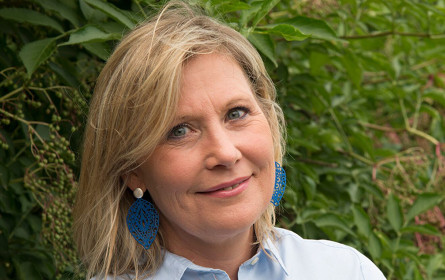 Feng-Shui fürs Unternehmen