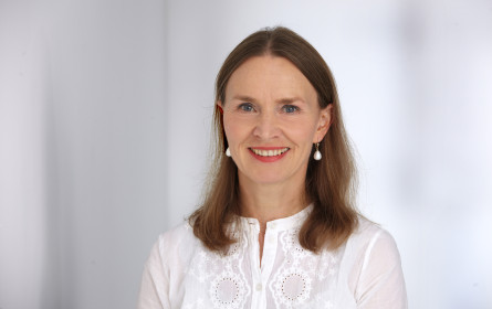 Ars Electronica - Sommerer 2: Wenig Medienkunst in Sammlungen