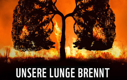 „Unsere Lunge brennt“ – neues Sujet von WWF und Agentur Traktor gegen das Wegschauen