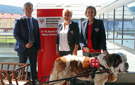 Tourismusexperte wird neuer CMI-Vertriebs- und Marketingleiter