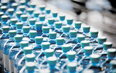 Vöslauer: Neuaufstellung im Verkauf International