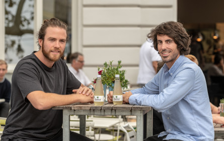 Aloe Vera: Alles Gute kommt von innen 