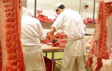 Fleischer-KV: Ringen um 1.500-Euro-Mindestlohn im Fleischergewerbe