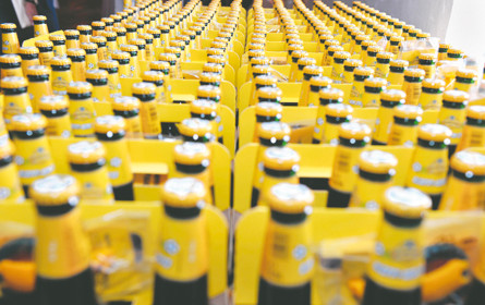 Ottakringer im Halbjahr mit mehr Umsatz, Bierabsatz gesunken