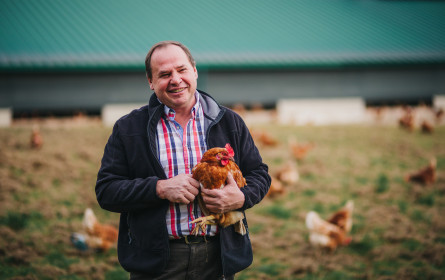 Rewe Group in Österreich wirkt dem Kükentöten entgegen