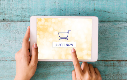 Gute Vorsorge für Onlineshop-Betreiber schützt vor Betrügern