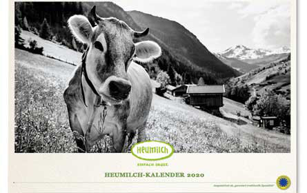 Emma ist „Austria’s Next Urgute Heumilchkuh“