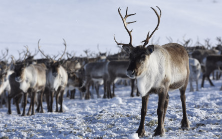 Très Bien: Frankreich liebt Fernseh-Content aus Österreich 