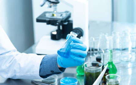 Im Ländle „trägt“ die Industrie die Forschung