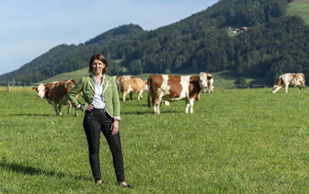 LK OÖ fordert Verzicht auf Billigimporte von Rindfleisch und Butter