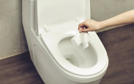 Biologisch abbaubare Feuchttücher aus holzbasierten Fasern