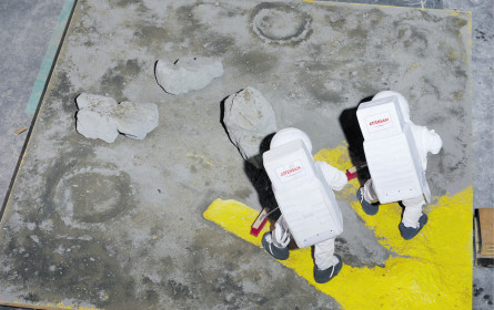 Attensam greift nach den Sternen