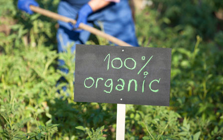 Gentechnikfrei ist wichtiger Aspekt beim Lebensmittel-Einkauf