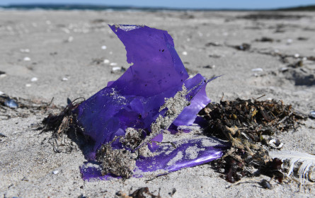 WWF fordert Strategie gegen Verpackungsmüll