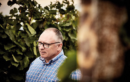 Sektkellerei Szigeti mit neuem Markenauftritt