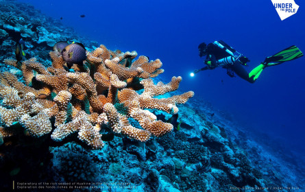 Worldline stellt der Expedition e-Archiving-Lösung zur Verfügung