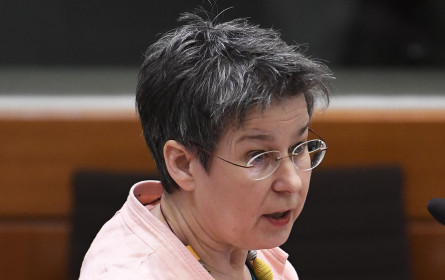 XXXLutz-Zentrallager - Burgenlands Grüne fordern UVP